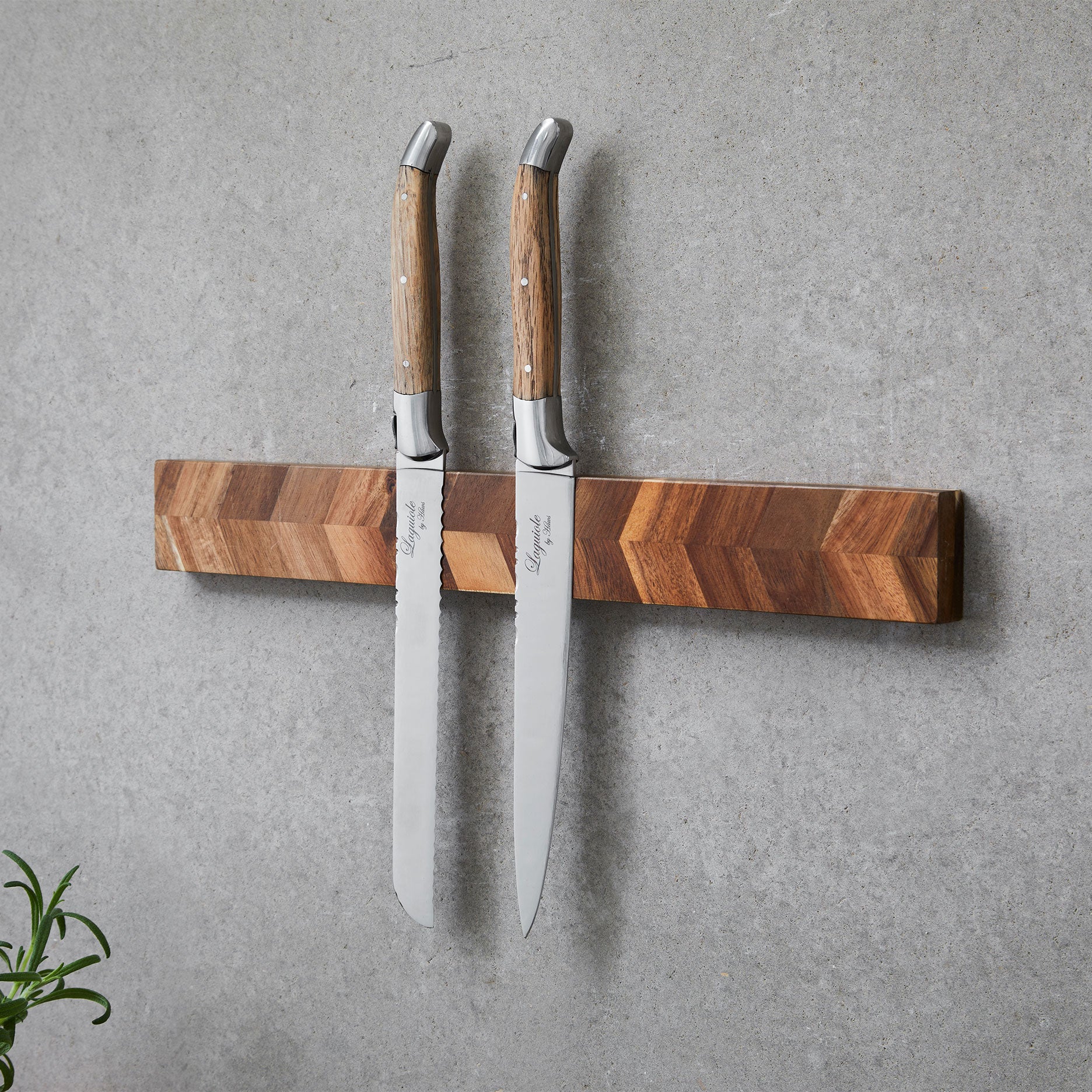 Knivmagnet akacietræ